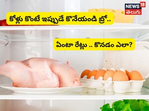 Chicken Eggs Rates