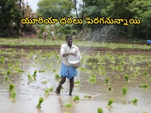 Urea Production Cost