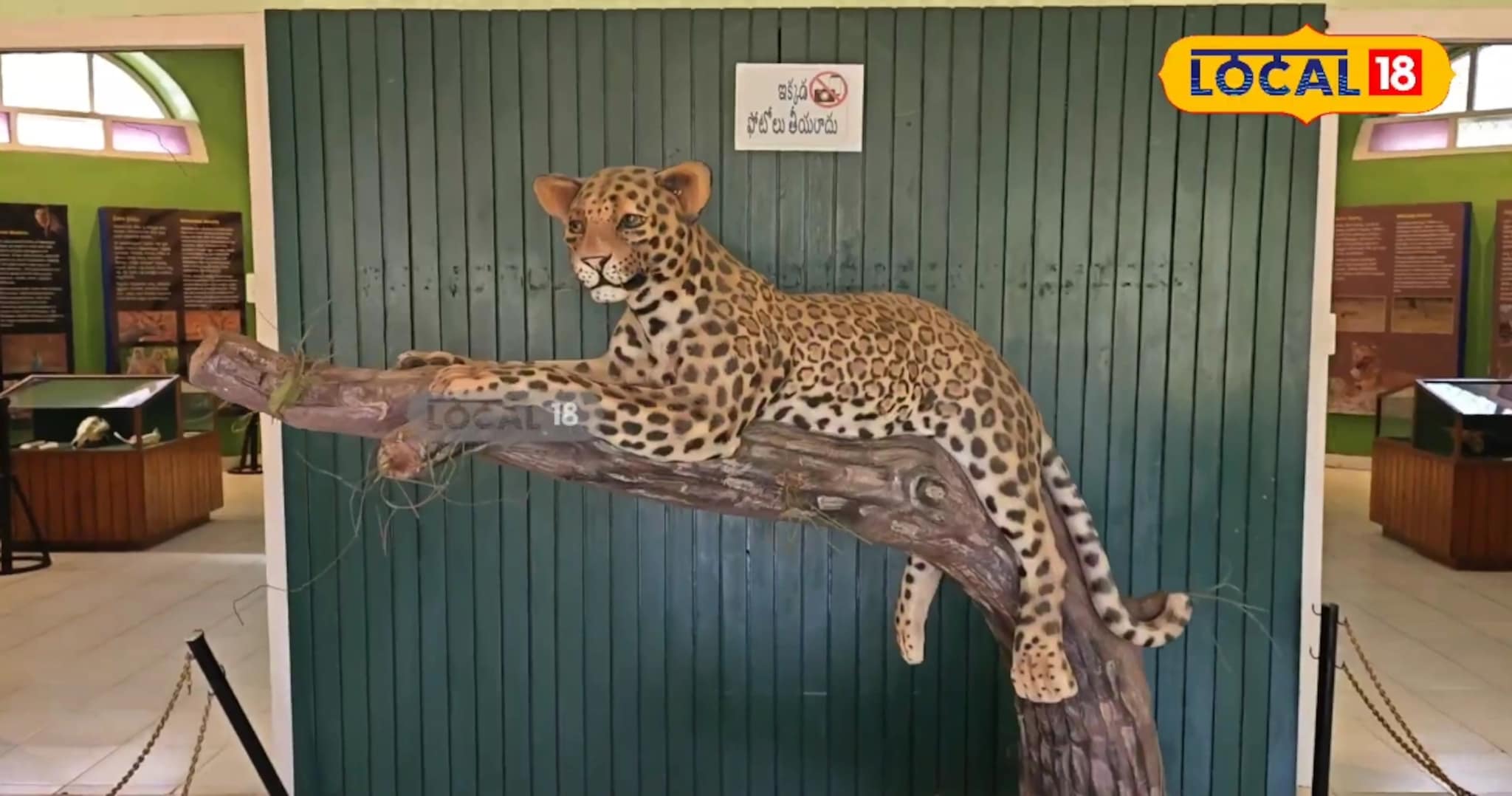 నల్లమల ఫారెస్ట్ సీక్రెట్ తెలియాలంటే..? సున్నిపెంటలోని ఈ సెంటర్ విజిట్ చేయాల్సిందే!