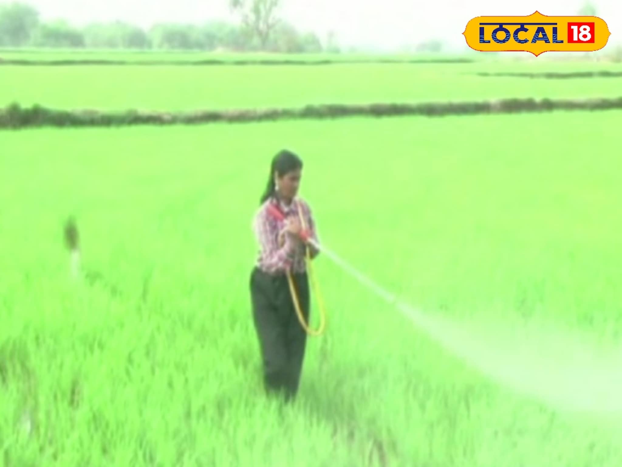 ఒక్క మహిళ.. ఓ కొత్త వ్యవసాయ విప్లవం..! రూపిరెడ్డి లక్ష్మీ సక్సెస్ టాక్ ఆఫ్ ద స్టేట్..!