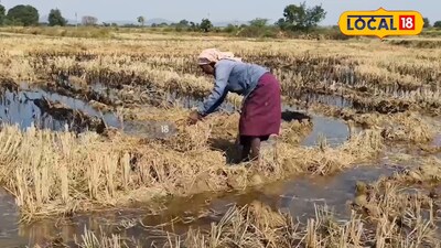2026 సంవత్సరంను 