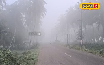 కోనసీమలో కనువిందు చేస్తున్న శీతాకాల అందాలు