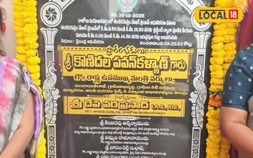 కోనసీమ కొబ్బరిచెట్లకు ప్రాణం పోస్తున్న డిప్యూటీ సీఎం ఏం చేశారో తెలుసా