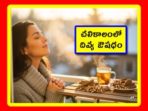 Phlegm Relief in Winter: చలికాలంలో పెద్ద సమస్య.. ఇమ్యూనిటీ తగ్గిపోవడం. దీని వల్ల జలుబు, దగ్గు, కఫం వంటి సమస్యలు పెరుగుతాయి. మరి వీటిని అడ్డుకోవాలంటే.. ఏం చెయ్యాలో, ఏ పొడి వాడాలో ఇప్పుడు తెలుసుకుందాం.