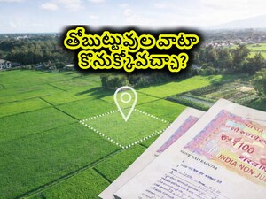 Property Division Without a Will: Inheritance Laws Rule, Not Family Understanding