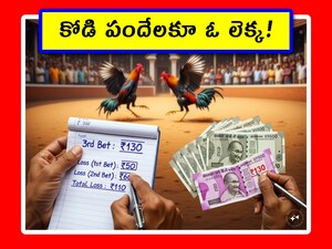 Sankranti Cockfighting: మరో 2 వారాల్లో సంక్రాంతి. ఏపీలో కోడి పందేలు కామన్. ఎన్ని నిషేధాలు ఉన్నా.. సంప్రదాయంలా ఇది సాగుతోంది. ఈ పందేల సమయంలో చాలా మంది ఆయా కోళ్లపై పందేలు కాస్తుంటారు. మరి ఎప్పుడూ గెలుస్తూనే ఉండాలంటే ఏం చెయ్యాలో చూడండి మరి.