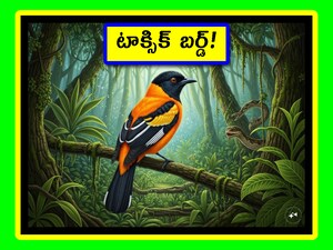 Most Poisonous Bird: పక్షుల్లో ఈ పక్షి వేరు. చూడటానికి మన జెముడు కాకి లాగా ఉంటుంది. కానీ దాని జోలికి వెళ్లకూడదు. వెళ్తే.. అంతే సంగతులు. అసలు ఆ పక్షి ఎలా విషపూరితమైందో, ఎలా మనకు ప్రమాదకరమో తెలుసుకుందాం. దాని జీవన శైలిని చూద్దాం.