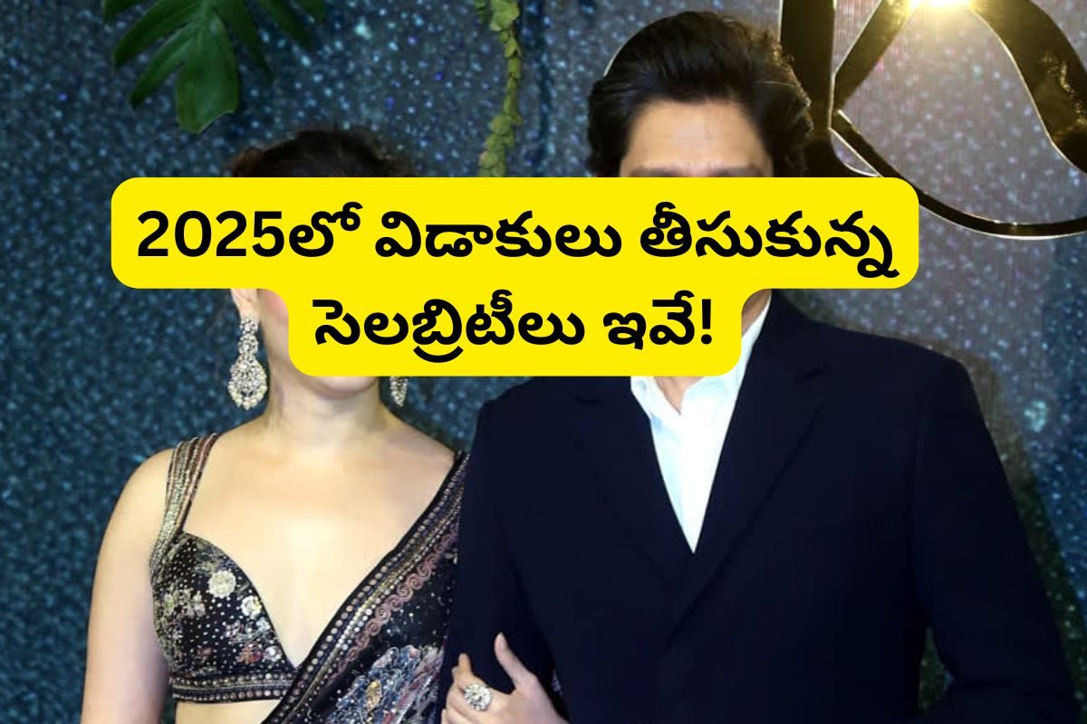 2025లో విడాకులు తీసుకున్న 10 సెలబ్రిటీలు వీళ్లే.. మీకో దండం రా దూత!