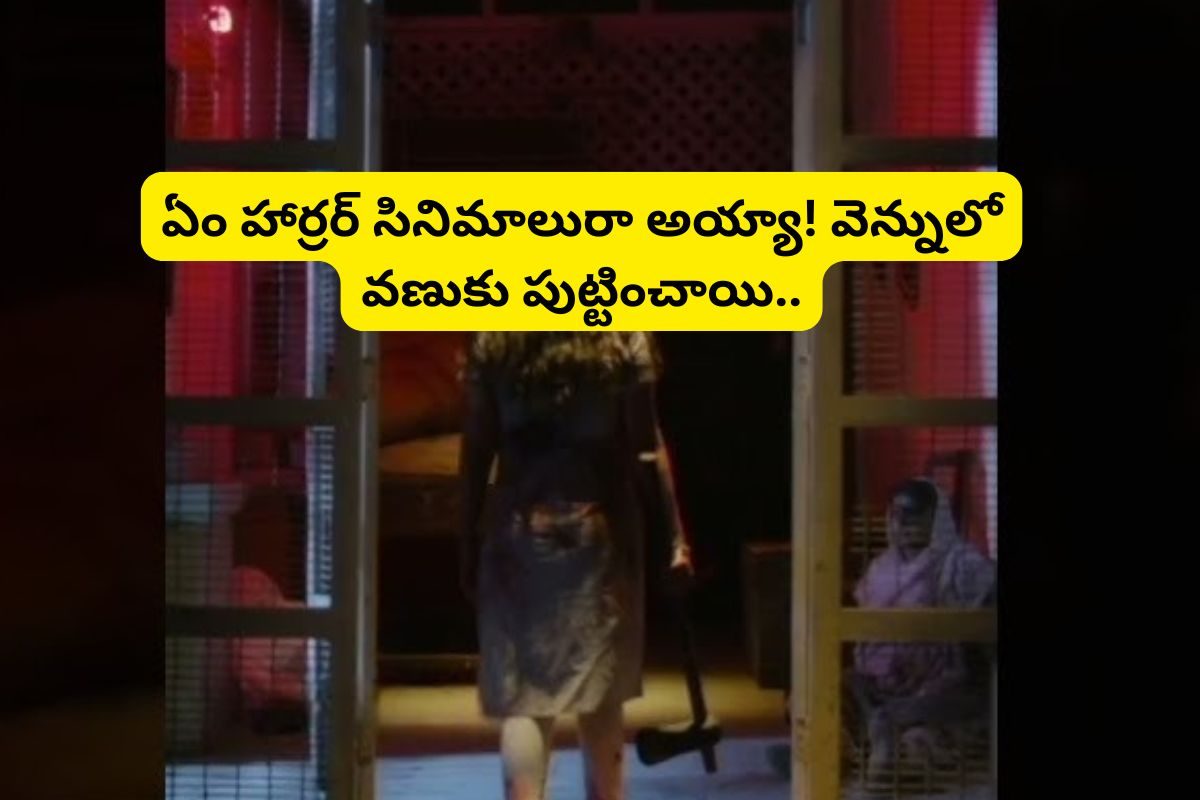 ధైర్యం ఉన్న వాళ్లు మాత్రమే ఈ హార్రర్ సినిమాలు చూడండి.. ఒంటరిగా చూస్తే చచ్చారే!