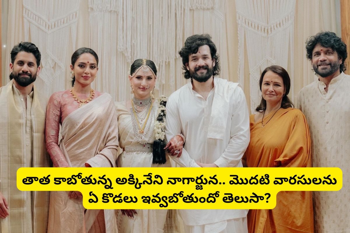 ఎట్టకేలకు తాత కాబోతున్న నాగార్జున.. మొదటి వారసులను ఏ కోడలు ఇవ్వబోతుందో తెలుసా?