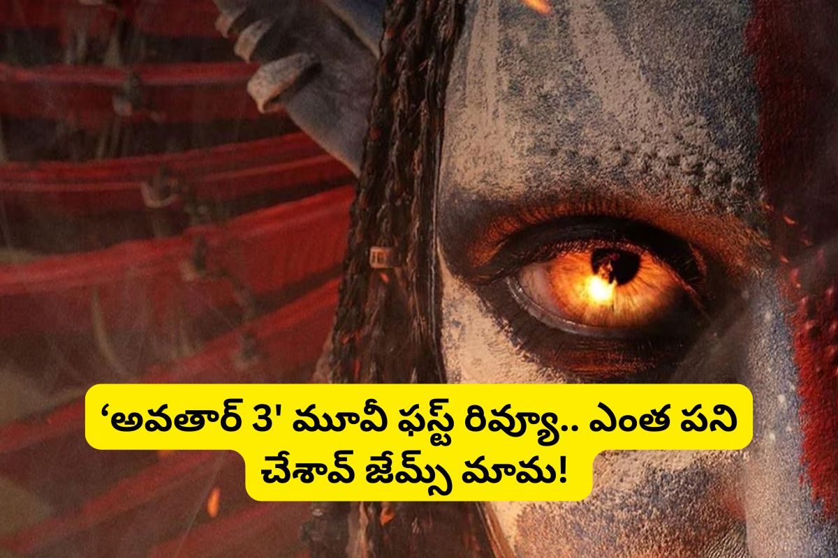 'అవతార్ 3' సినిమా ఫస్ట్ రివ్యూ.. దొంగ దెబ్బ తీశావ్ కదా జేమ్స్ కామెరూన్ మామ!