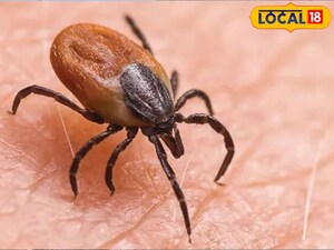 Scrub Typhus Spreads in AP: Girl Tests Positive, Deaths Reported