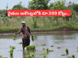 PM Kisan Money: రైతుల అకౌంట్లలోకి రూ. 599 కోట్లు.. ప్రభుత్వం కీలక ప్రకటన, మీకు డబ్బులు వచ్చాయా? లేదా..  