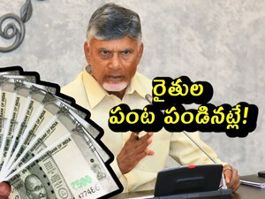 Big Relief for Small and Marginal Farmers State Government to Provide  Rs 1 Lakh Crop Loans for Tenant Farmers 