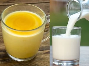 Warm Milk vs. Turmeric Milk: Expert Guide to Better Sleep