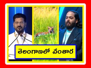 తెలంగాణలో మరో భారీ, కొత్త జూ.. ప్రభుత్వంతో రిలయన్స్ వంతారా డీల్