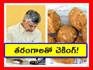 తిరుమల ప్రసాదానికి AI టెక్నాలజీ.. క్వాలిటీ చెక్ చేస్తున్న యంత్రం.. ఎలా?