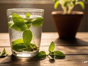 Unlock Ancient Wisdom: Daily Tulsi Water for Nectar-Like Health Benefits!