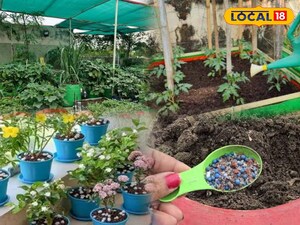 बालकनी के पौधों को दें नया जीवन: प्राकृतिक खाद से बढ़ाएं उनकी ग्रोथ!