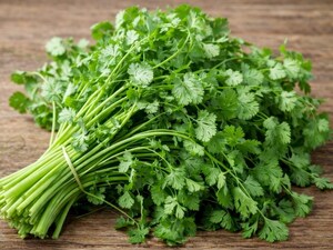 धनिया महीने भर रहेगा ताजा! इन आसान ट्रिक्स से रोकें खराब होना.