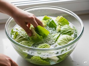 Don't Just Wash Cabbage! Brain Worm Risk if Not Cleaned Properly