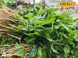 सर्दियों में पत्तेदार सब्जियां खराब हो रही हैं? हफ्ते भर ताज़ा रखने के लिए अपनाएं ये ट्रिक्स!