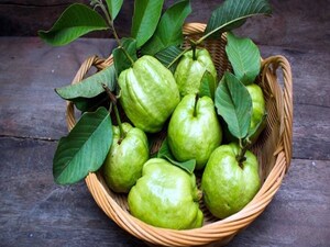 अमरूद छिलके सहित खाएं या बिना छिलके? जानें विशेषज्ञों की राय और स्वास्थ्य लाभ.