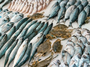 Fish and Milk: A Dangerous Combination? Unpacking Ayurvedic and Modern Views