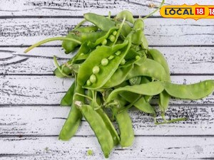 Transform Pea Pods into 'Magic Liquid Fertilizer' for Lush Plants