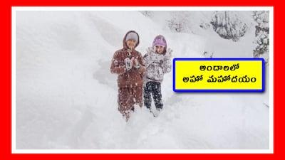 Kashmir Snow: జమ్మూకాశ్మీర్‌లోని పర్వత ప్రాంతాలలో ఇప్పుడు దట్టమైన మంచు కురుస్తోంది. జనజీనం స్తంభించింది. పర్యాటకులు మాత్రం ఫుల్ ఎంజాయ్ చేస్తున్నారు.  రోడ్లపై మంచు ట్రాఫిక్‌కు అంతరాయం కలిగిస్తోంది. కానీ హిమపాతం.. పర్వతాలకు శ్వేతవర్ణాన్ని తెచ్చింది. స్థానికులకు ఉత్సాహాన్ని ఇచ్చింది. చాలా ఎత్తైన ప్రాంతాలలో, మోకాలి లోతు వరకు మంచు పేరుకుపోయింది. 
