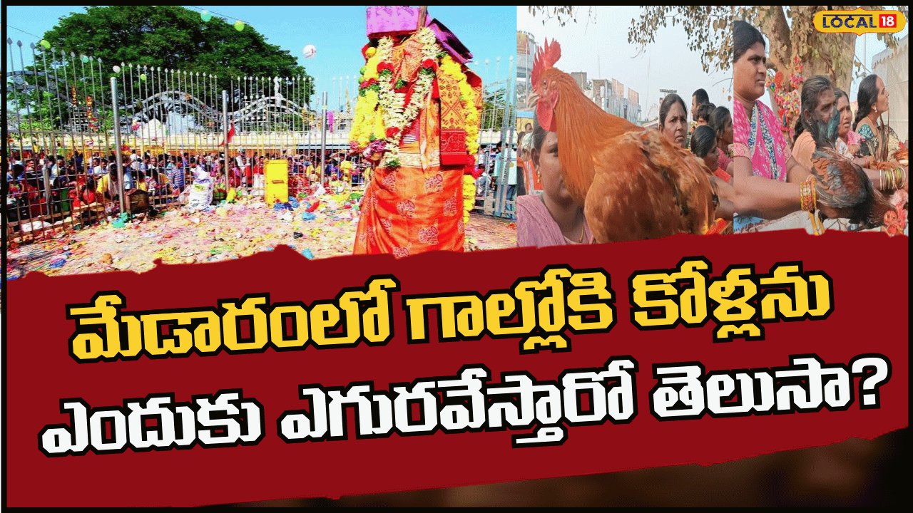 Medaram Jatara Flying Chicken Ritual|మేడారంలో గాల్లోకి కోళ్లను ఎందుకు ...