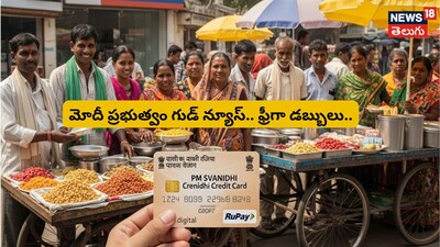 PM Svanidhi Credit Card: Government Offers Rs 30,000 Limit, UPI Payments for Vendors