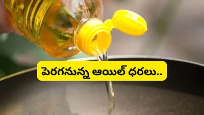 Edible Oil Prices Soar: Rupee's Fall, Import Cancellations Hit Indian Consumers