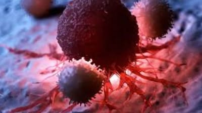 Kitchen Cancer Risks: Identify and Remove These Everyday Items Now!