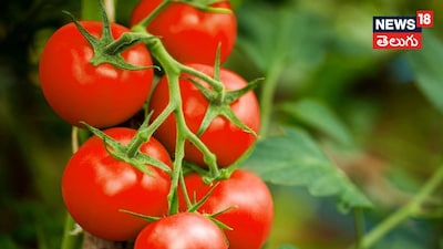 Raw Tomato: Superfood for Health, Uncooked Benefits Outweigh Cooked