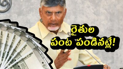 AP Coalition Govt Ensures Farmers Get Payments in 24 Hours, First in Country