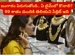 Gold Jewellery: బంగారం ఎప్పుడు కొనాలో తెలుసా? ఆ సమయంలో కొంటేనే మీకు లాభం!