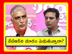 అస్లెంబ్లీ ఫ్లోర్ లీడర్‌గా హరీశ్‌రావు. మరి కేటీఆర్ సంగతేంటి? ఎందుకు అయన్ని నియమించలేదు?