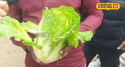 ఇంపోర్టెడ్ కూరగాయలైన బ్రోకలీ, లేటియోస్ ఇక్కడ తక్కువ..