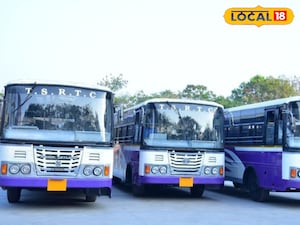 ప్రయాణికులకు శుభవార్త...సంక్రాంతికి ప్రత్యేక బస్సులు