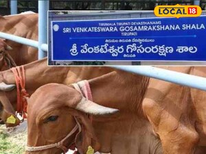 టిటిడిలో పెండింగ్ ఉద్యోగాల భర్తీకి గ్రీన్ సిగ్నల్...!