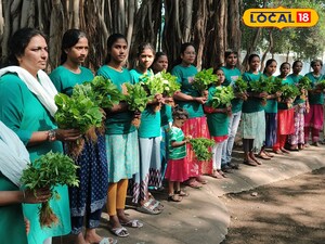 50వేల నారు మొక్కలు పంపిణీ చేసిన హరిత సైనికులు