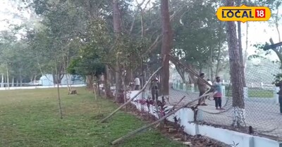 తిరుమల పాప వినాశనం రోడ్డు మార్గంలో ఏనుగుల విధ్వంసం...!