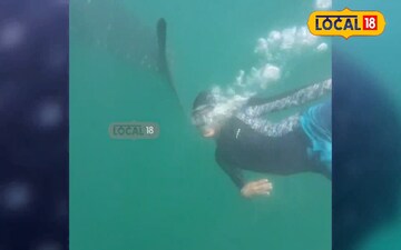 విశాఖలో భారీ తిమింగలం కలకలం