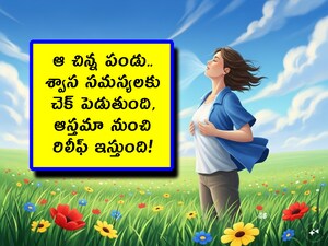 Solution for Breathing Problems: ఈ చలికాలంలో మాటిమాటికీ శ్వాస సంబంధిత సమస్యలు వస్తుంటాయి. డీ విటమిన్ తక్కువగా ఉండేవారిలో ఇమ్యూనిటీ తగ్గి, మాటిమాటికీ శ్వాస తీసుకోవడం సమస్య అవుతుంది. అందువల్ల ఏ పండు తింటే మేలు జరుగుతుందో తెలుసుకుందాం.