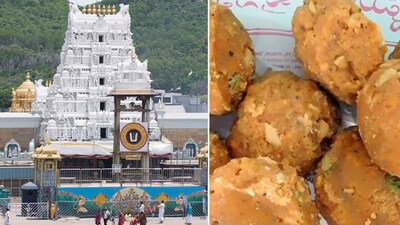 SIT Probes Tirumala Laddu Adulteration, KCR Phone Tapping; CM Revanth at Harvard