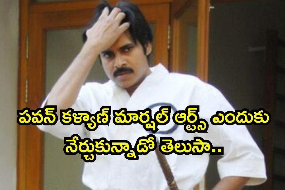 Pawan Kalyan: అసలు పవన్ కళ్యాణ్‌ మార్షల్ ఆర్ట్స్‌ జర్నీ ఎలా మొదలైందో తెలుసా? ఒక్కో సీక్రెట్ తెలిస్తే షాకవుతారు భయ్యా