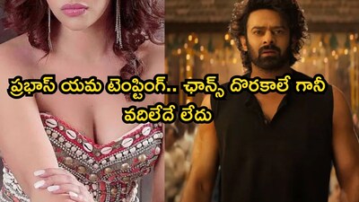 Actress Payal Ghosh Confesses Deep Crush on Prabhas, Wants to Date Him