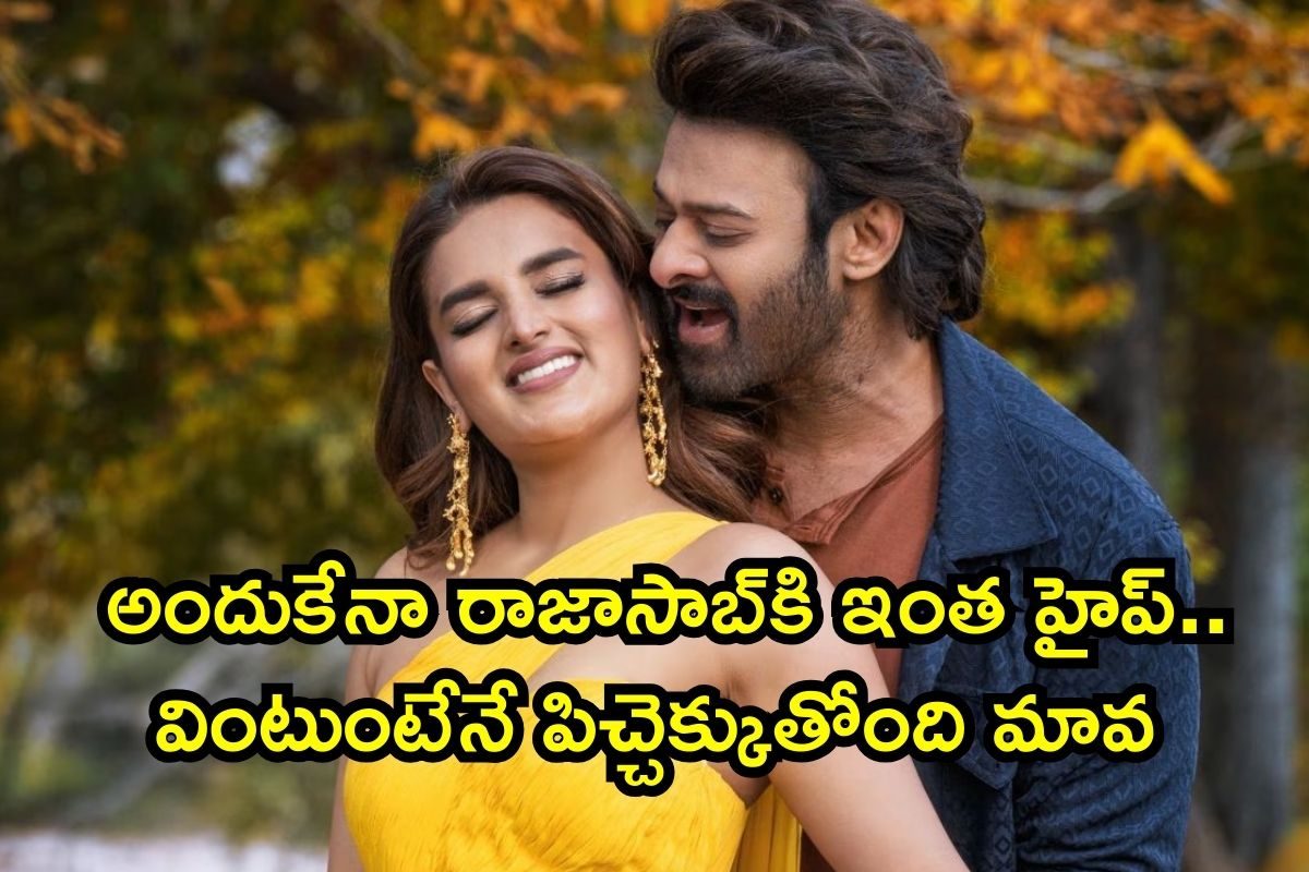 The Raja Saab: వార్నాయనో, అప్పుడే రాజా సాబ్ ఊచకోత మొదలైంది సామీ.. కలెక్షన్ల దుమారం బాబోయ్