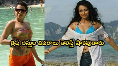 Trisha Krishnan's Rs 85 Crore Net Worth: Real Estate, Luxury Cars & More!